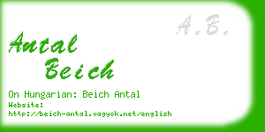 antal beich business card